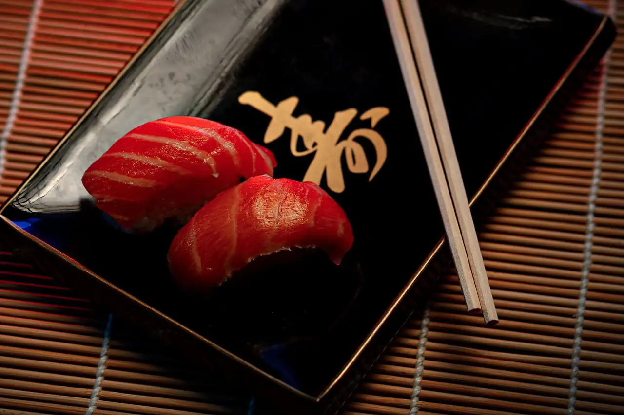 Close-up of fresh salmon sushi on ceramic plate